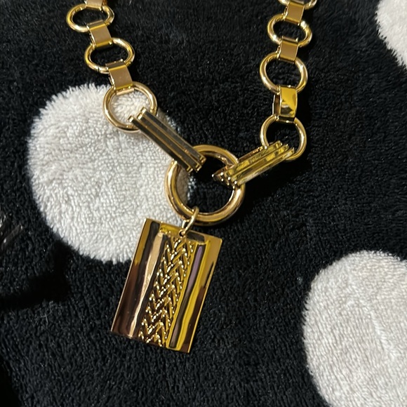 Dannijo Elisa Chunky Necklace - Picture 2 of 4